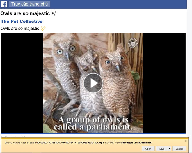 Cách tải video trên Facebook không cần phần mềm
