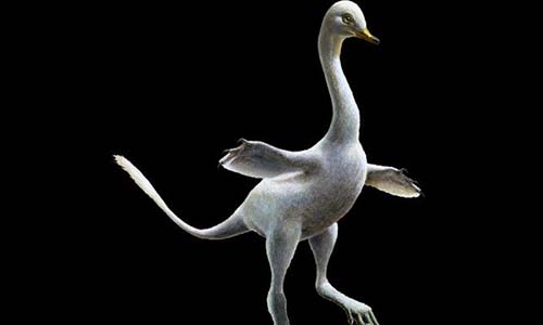 Phát hiện loài khủng long có bề ngoài giống vịt