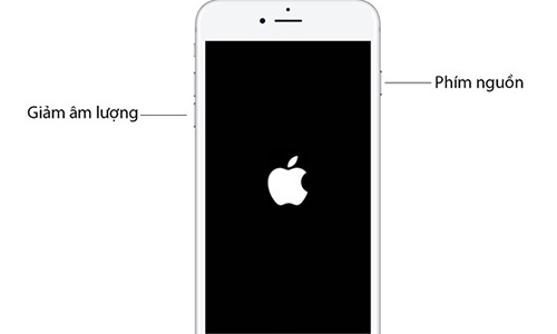 4 cách giúp iPhone cũ chạy nhanh hơn
