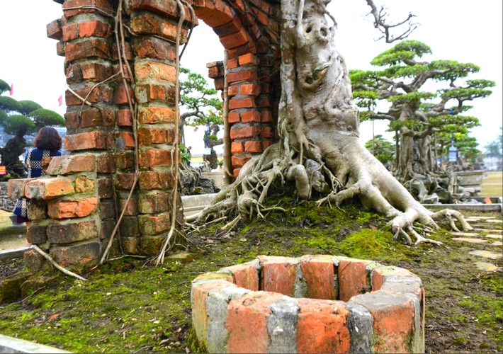 Có thể nói, điều làm nên nét đặc biệt của tác phẩm Hồn quê Đất Việt này chính là hình ảnh cây đa cổ thụ tỏa bóng mát xuống cả một khu đất lớn như ôm trọn cánh cổng vào lòng.