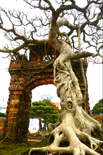 Tác phẩm này được ông Hòa phối cảnh cây xanh ôm trọn cổng làng, cùng với giếng nước tạo thành một bức tranh tuyệt mỹ mang đậm hồn quê Việt Nam...