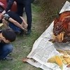 Hai người Việt buôn thịt hổ bị bắt ở Nga