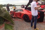 Siêu xe Lamborghini Aventador “đọ sức” với... cây 