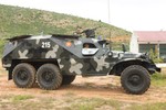 Việt Nam nâng cấp thành công “ông già thép” BTR-152