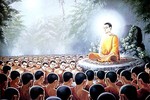 Đạo Phật không chấp nhận án... tử hình