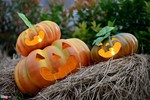 Những điểm vui chơi Halloween thú vị nhất cho bé