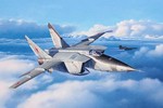 Mệnh danh "Vua Tốc Độ", chiến đấu cơ MiG-25 Liên Xô nhanh đến mức nào?