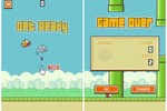  Website danh tiếng thế giới xin lỗi cha đẻ Flappy Bird