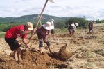 Săn đặc sản “ông ăn bà vui” mập nung núc, vàng óng