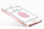 Rộ tin iPhone SE 2 ra mắt trong tháng 6