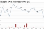 Chủ đầu tư Carina mất 170 tỷ sau một đêm vì cổ phiếu giảm