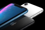 iPhone XR "ế hàng": nguyên nhân do đâu?