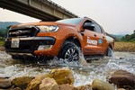 Gần 15.000 xe Ford Ranger dính lỗi tại Việt Nam