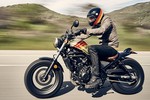 Honda Rebel mới "biến hoá" chất chơi với Aviator Nation