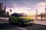 Công nhân Hyundai đình công, ngừng sản xuất Kona