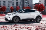 Toyota C-HR 2019 mới sẽ có giá từ hơn 500 triệu đồng 