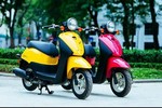 Người dùng xe máy dưới 50cc, xe máy điện phải có GPLX