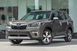 Khắc phục lỗi “cá vàng” trên xe Subaru tại Việt Nam thế nào?