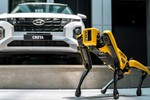 Hyundai Thành Công Việt Nam đưa robot SPOT về Việt Nam