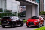 Triệu hồi loạt xe sang Lexus NX350 tại Việt Nam dính lỗi nguy hiểm