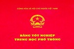 Trưởng ban tổ chức thành ủy bị hủy bằng cấp 3 xin từ chức