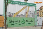 Chung cư Riverside Garden bị khuyến cáo không nên mua: CĐT nói gì?