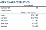 Duy nhất 2 cổ phiếu Việt Nam vào rổ MSCI Frontier Markets Index