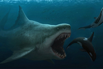 Siêu cá mập Megalodon thực chất có ngoại hình khổng lồ dễ thương?