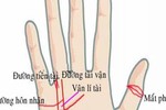 Bàn tay có 4 đường này may hết phần thiên hạ, chỉ 1/4 cũng đủ giàu 