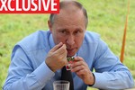 Tổng thống Putin thuê đội quân nếm thức ăn vì sợ đầu độc?