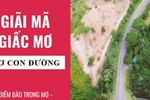 Giải mã giấc mơ: Thấy con đường dài trước mặt là dự báo điều gì?