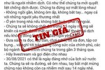 Xuất hiện thông tin giả mạo phát ngôn chỉ đạo của Phó thủ tướng