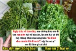 Đi hái rau dớn, nàng dâu mang về thứ xanh mặt mẹ chồng