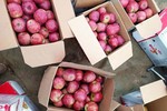 Trái cây "ngoại" la liệt, nhiều loại siêu rẻ chỉ 12.000-20.000 đồng/kg