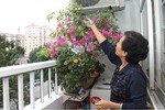 Bí kíp thiết kế ban công đẹp, an toàn 