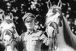 Chiến dịch giải cứu đàn ngựa quý của trùm phát xít Hitler 