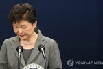 Tổng thống Hàn Quốc Park Geun-hye tuyên bố sẵn sàng từ chức