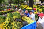 Hành động đập nát hoa chiều 30 Tết là sự hằn học “không ăn thì đạp đổ” 