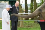 Tình yêu với động vật của Nữ hoàng Anh Elizabeth II