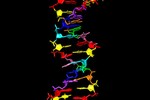 Truy tìm sự sống ngoài hành tinh từ DNA "8 chữ cái"