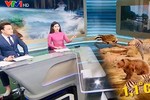 Hữu Bằng lên sóng lộ chân trần: Đầy sạn khi BTV “on air” 