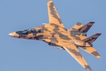 Iran quyết tâm sao chép "Mèo đực" F-14 của Mỹ: Liệu có thành công?