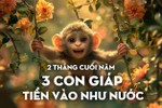 2 tháng cuối năm, 3 tuổi Thần Tài điểm danh, tiền vào ào ào