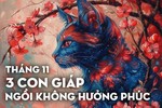 Gặp dữ hóa lành, tháng 11, 3 con giáp này ngồi không hưởng phúc                       