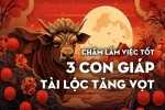 Chăm làm việc tốt, cuối năm 3 con giáp này tài lộc tăng vọt