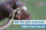 Bộ tộc bắt rắn độc kiếm sống qua ngày ở Ấn Độ