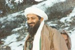 Con đường từ “cậu ấm” thành trùm khủng bố của bin Laden