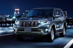 Toyota Prado 2022 phải lùi lịch ra mắt vì Land Cruiser "cháy hàng"?