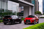 Triệu hồi Lexus NX350, xe nhập tư phải được "đồng ý mới miễn phí"