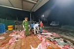 Phát hiện cơ sở giết mổ hơn 1 tấn lợn đã chết ở Bắc Giang